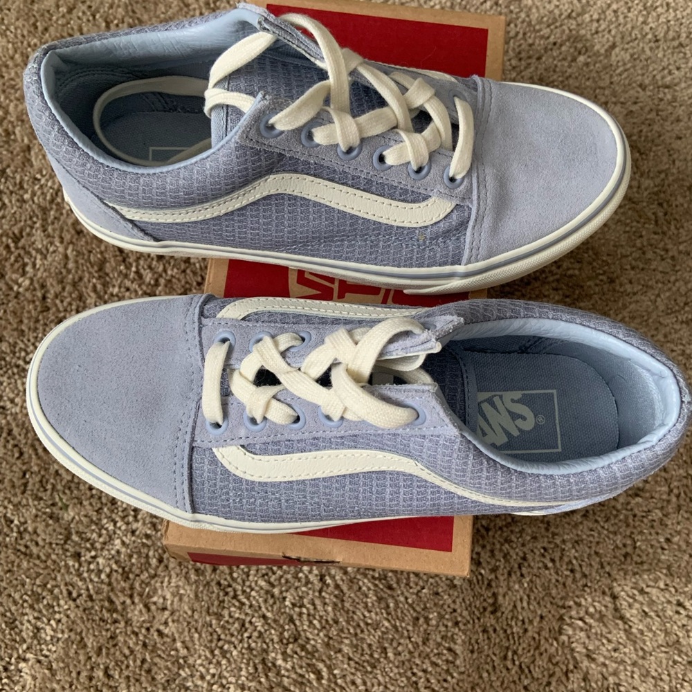 Vans old skool skate shoes